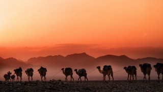 A caravan of camels in the desert. The sun sets and paints the sky orange. Mountains are visible in the background.
